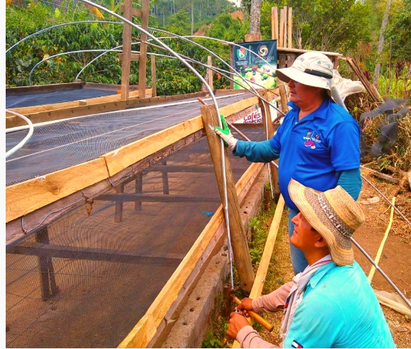 Imagejn Proyecto cafés especiales - Unibagué y Gobernación