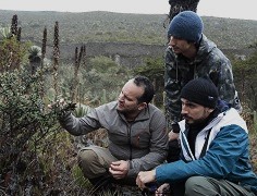 Menos tiempo y más impacto: así es ahora Biología Ambiental